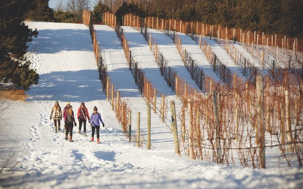 Hit These Winter Winery Trails and Then.Wine